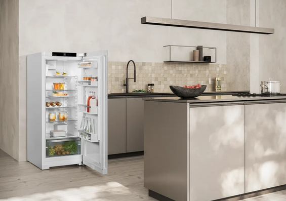 Chłodziarka Liebherr K 46Vd00 EasyFresh